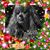 Jacki Campbell-broughton's profile image