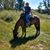 Rita Smith's profile image