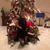 Tricia Link's profile image