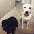 Michele Johnson Bertram's profile image