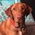 Amanda Willden's profile image