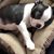 Deanna Deibler-Etling's profile image