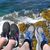 Margy Powers-Roeck's profile image