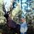 Tami Butcher's profile image
