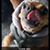 Ascary Camarillo's profile image