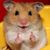 Rafael Villegas's profile image