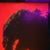 Brad L Caldwell's profile image