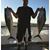Ray Lembo's profile image