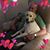 Carol Pillars's profile image