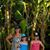 Cortney Buhrig Dorney's profile image