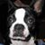 Michelle Parks Evans's profile image