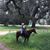 Marilynn Rankin Arnaiz's profile image