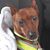 Tonia Ashley's profile image