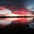 Juan Carlos Garcia's profile image