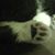 Alicia Foley's profile image