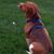 Cletus McElerick's profile image