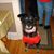 Marlana Dalton's profile image