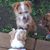 Karen S. Hight's profile image