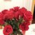 Patricia Younger's profile image