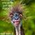 Beth Adams's profile image