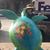 Ann Marie Jones's profile image