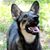 Gail Martinson's profile image