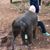 Meg Smillie Wislar's profile image