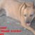 Taica Gut's profile image