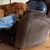 Heidi Frohning Peck's profile image