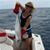 Deborah Haggard's profile image