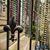 Tracy Dailey's profile image
