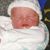 Nichole Bourque Warren's profile image