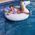 Andrew Michelle Majdoch's profile image