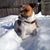 Randee DeFlippo's profile image