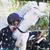 Jackie Sebastian's profile image