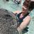 Keeta Lynn Hammer's profile image