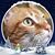Julie Nielsen's profile image