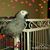Debbie Deney's profile image
