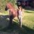 Karen KC Monaco's profile image