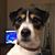 Sarah Rooney's profile image
