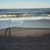 Aimee Williams's profile image