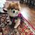 Gloria Martin-Wallshein's profile image