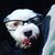 John Graziadei's profile image