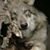 Sherry Mitchell's profile image