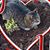 Melanie Yeager's profile image