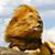 Noureddine Weslati's profile image