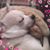 Stacie Neukun's profile image