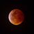 Judy Marshall Jones's profile image