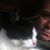 Michael Cravotta's profile image