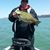 Duane Davis's profile image